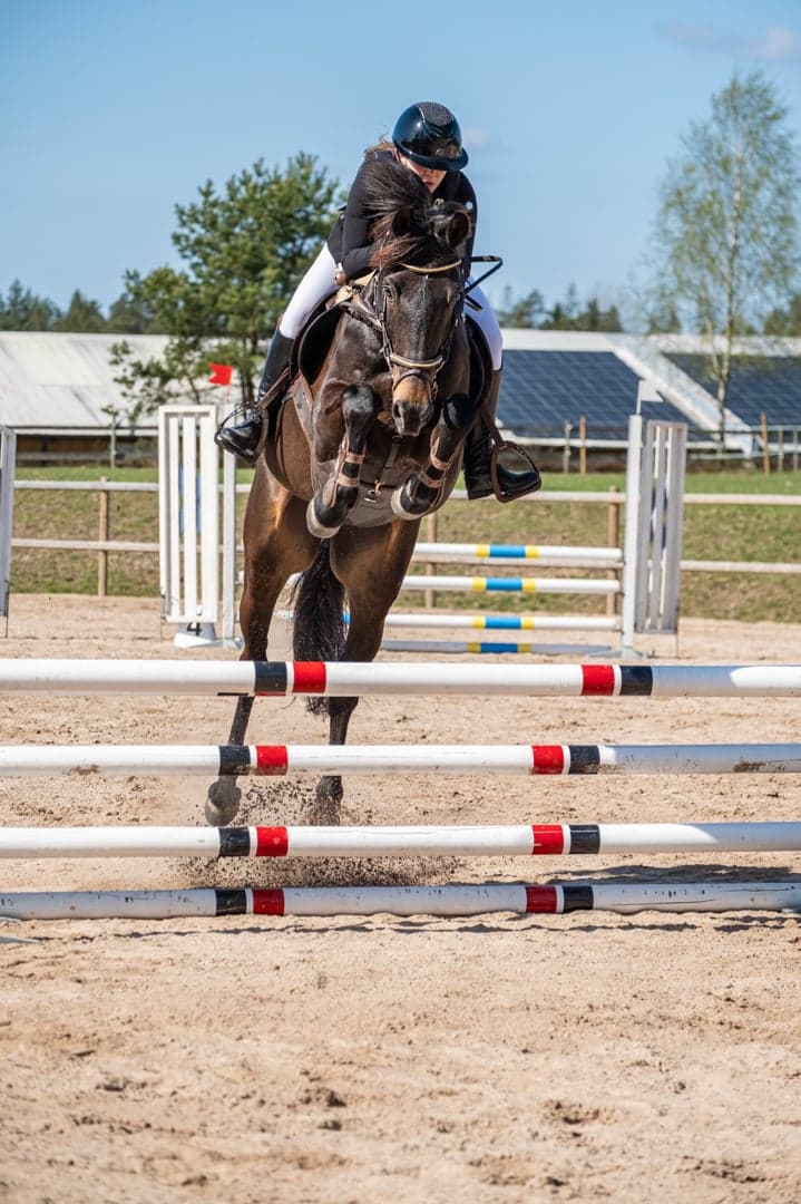 Bild 2 av Premier Royal Sport