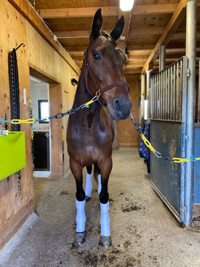 Media 1 av Svempa laday