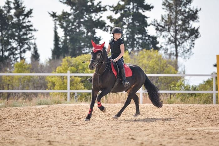 Media 2 av Snäll förstaponny