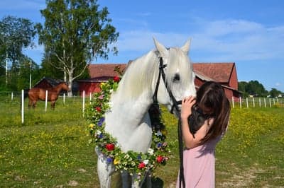 Inlägg 169 av Allround med titeln ❤️❤️