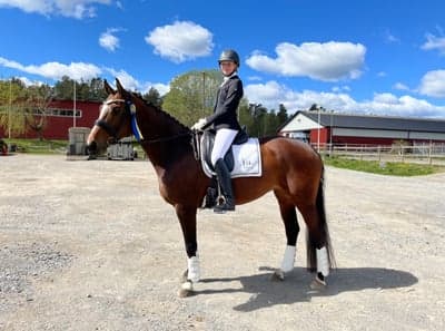 Inlägg 10 av Oldenburger med titeln 🥇🦄🌸❤️