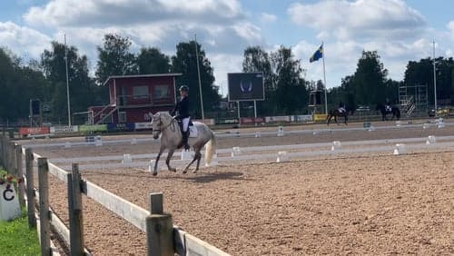 Bild av Vacker skimmel med kapacitet