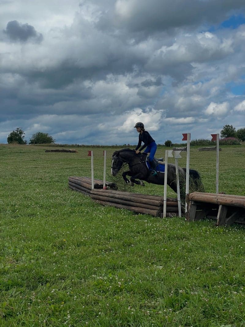 Bild 2 av Darsys magany spot