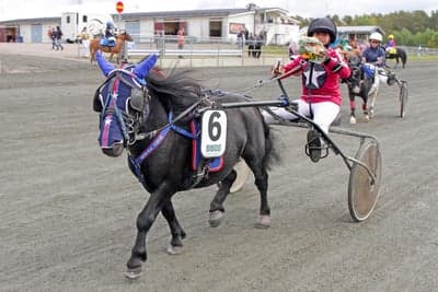 Inlägg 50 av Trav med titeln DPK’s Ponnytravgala 