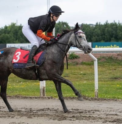 Inlägg 24 av Allround