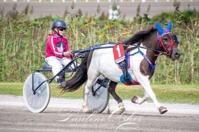 Inlägg 116 av Trav med titeln DPK’s ponnytravgala 