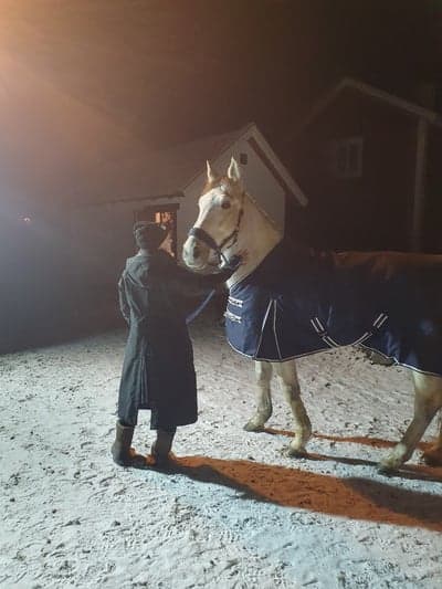 Inlägg 20 av Lipizzaner med titeln Zara får ut o röra lite på sig😍