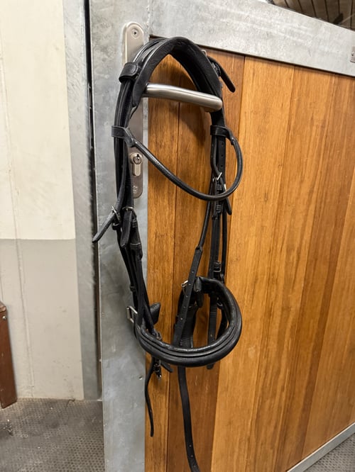 Bild av Svart kandar