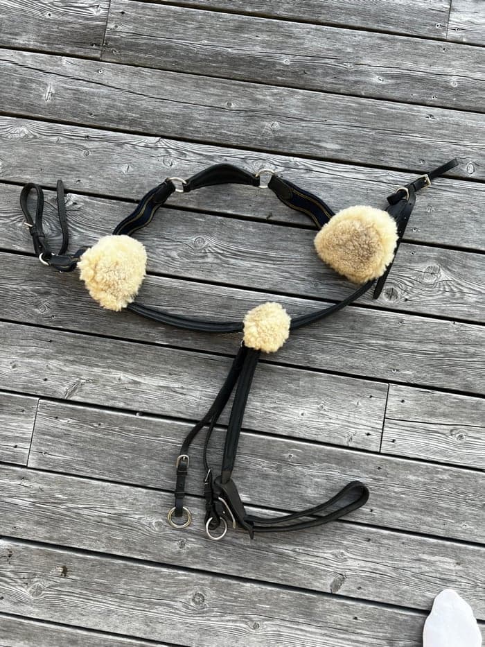 Media 2 of Förbygel med teddy