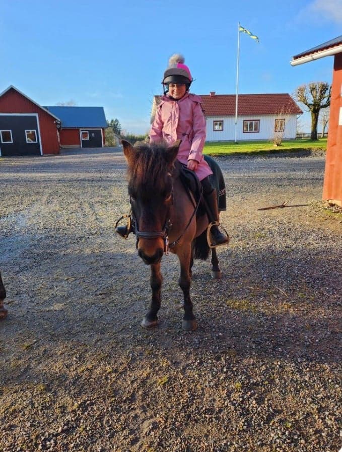 Bild 4 av placeholder text