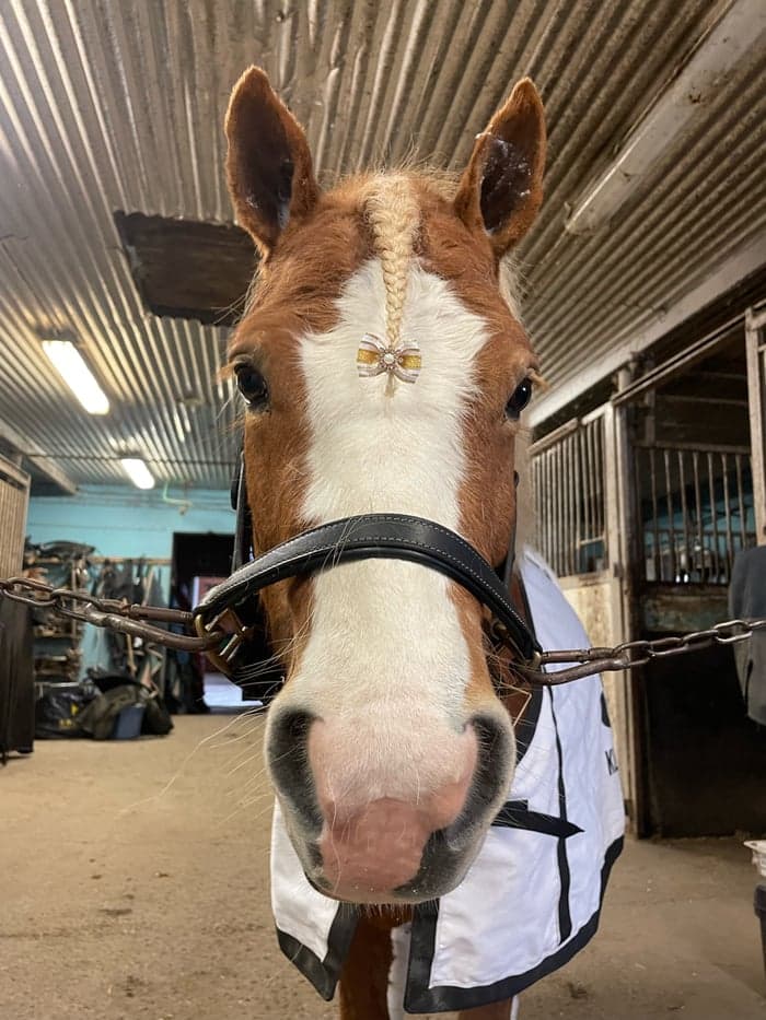 Media 1 of Småbusig JSA