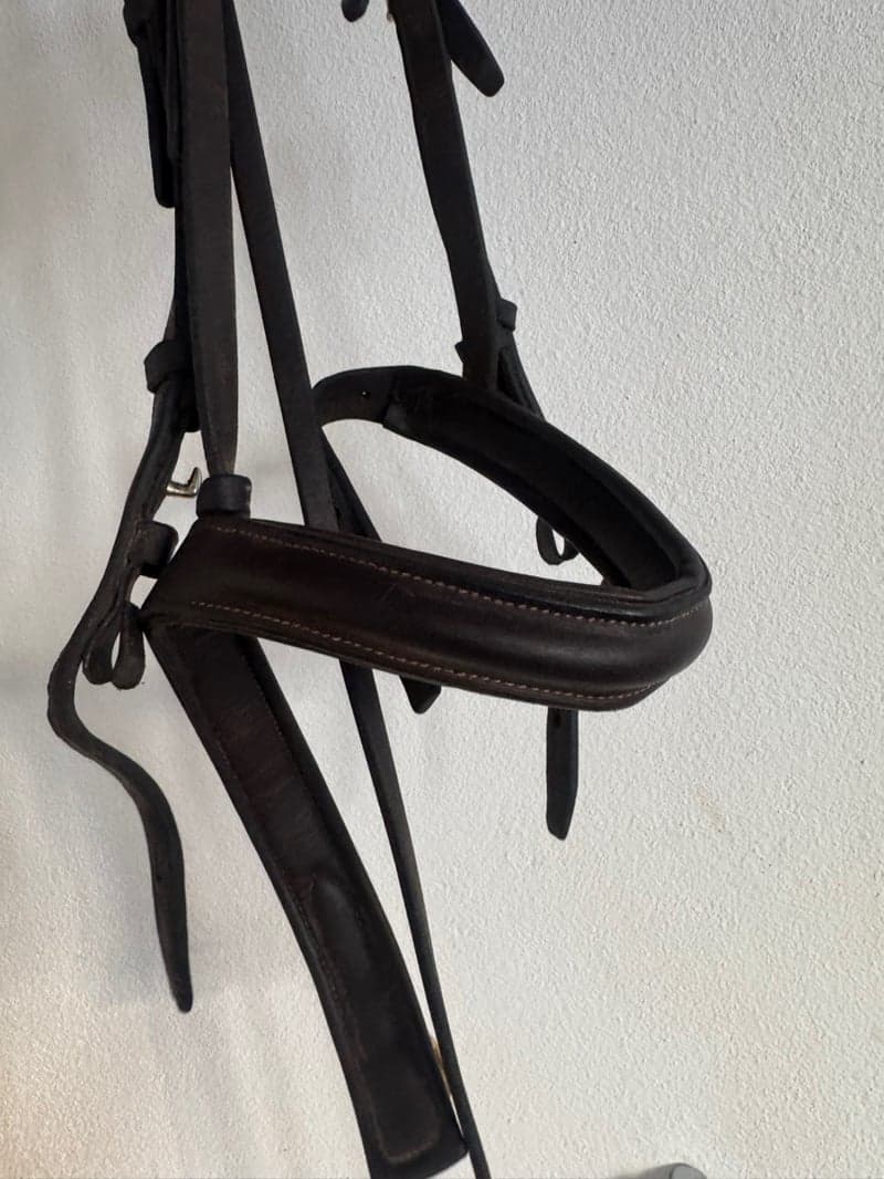 Bild 4 av Ponnyträns från tredton