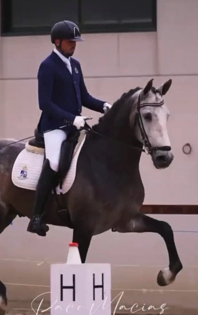 Media 2 av Imperioso de FR