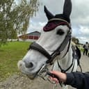 Profilbild av Wilma Einarson