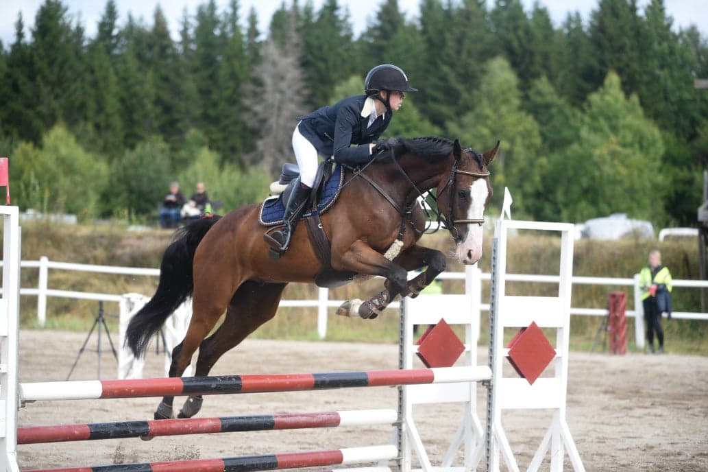 Image 1 of Skorphults Casablanca