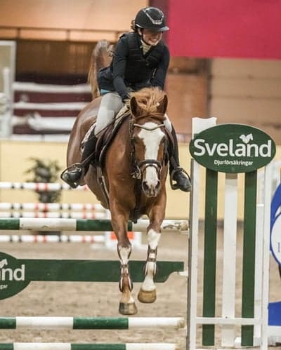 Inlägg 72 av Allround