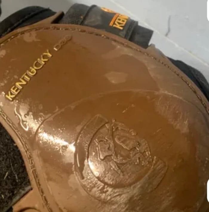 Media 2 av Kentucky D30