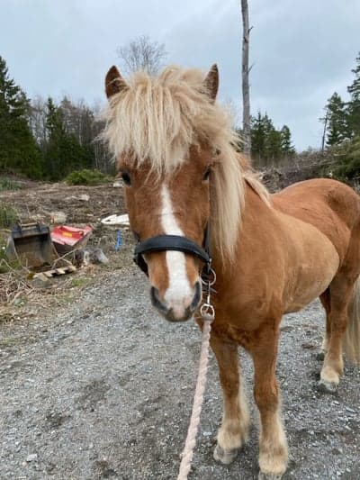 Inlägg 50 av Allround