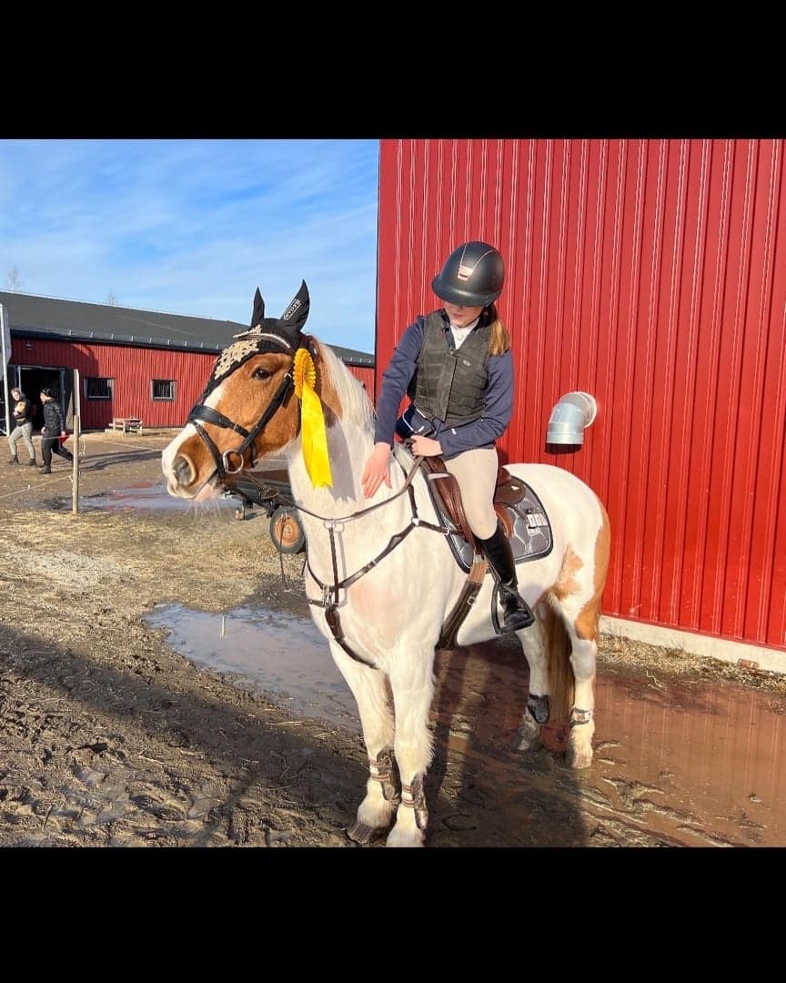 Bild 1 av placeholder text