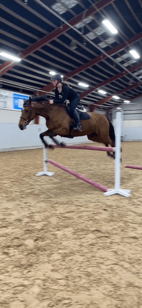 Media 6 av Paris Hilton JMS