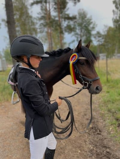 Inlägg 2 av Dressyr