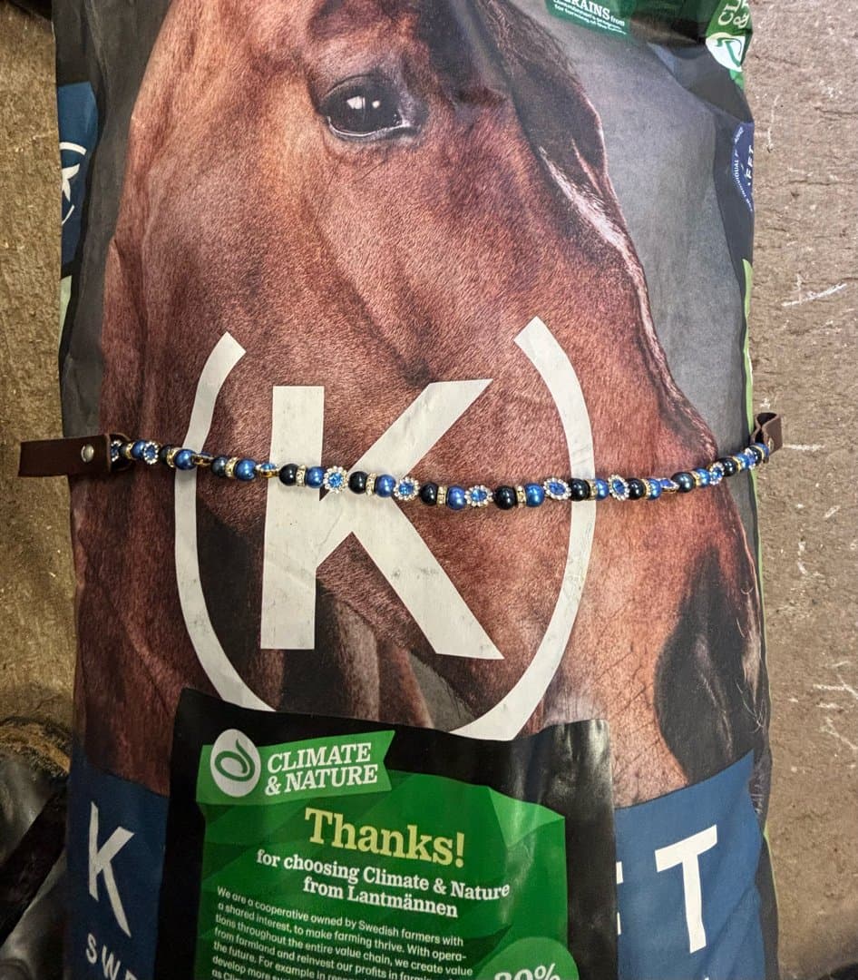 Bild 1 av Jättefint pannband 