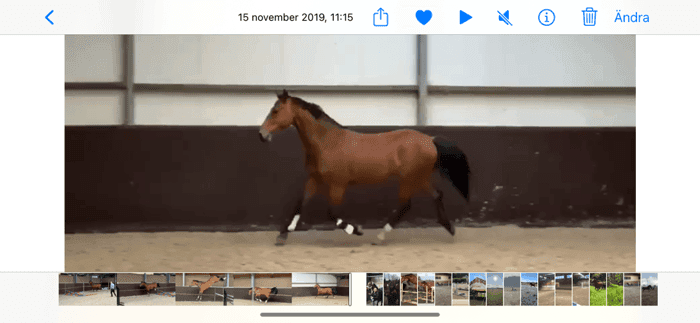 Media 2 av Kir Royal BH