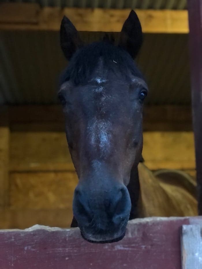 Media 1 av Irish Coffee