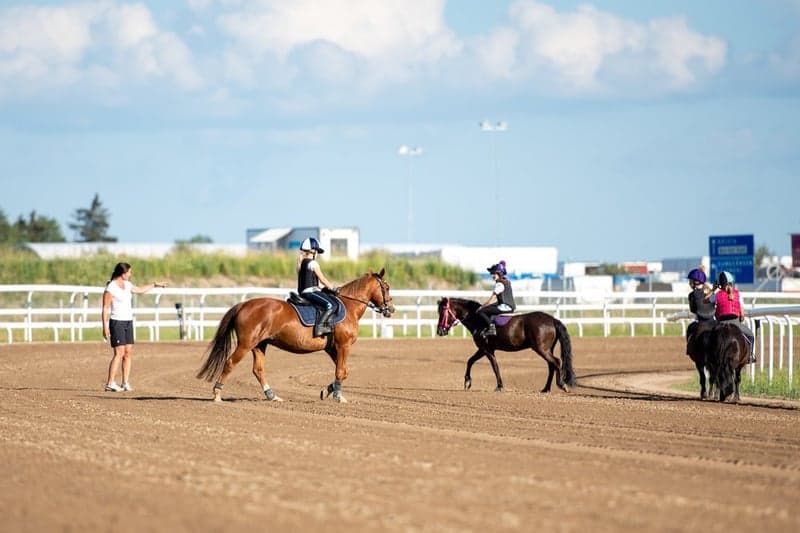 Bild 3 av Testa träna galopp med din ponny på Bro Park