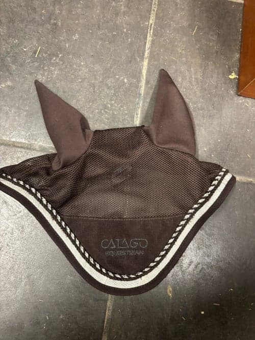 Image of Bruna flughuva från Catago