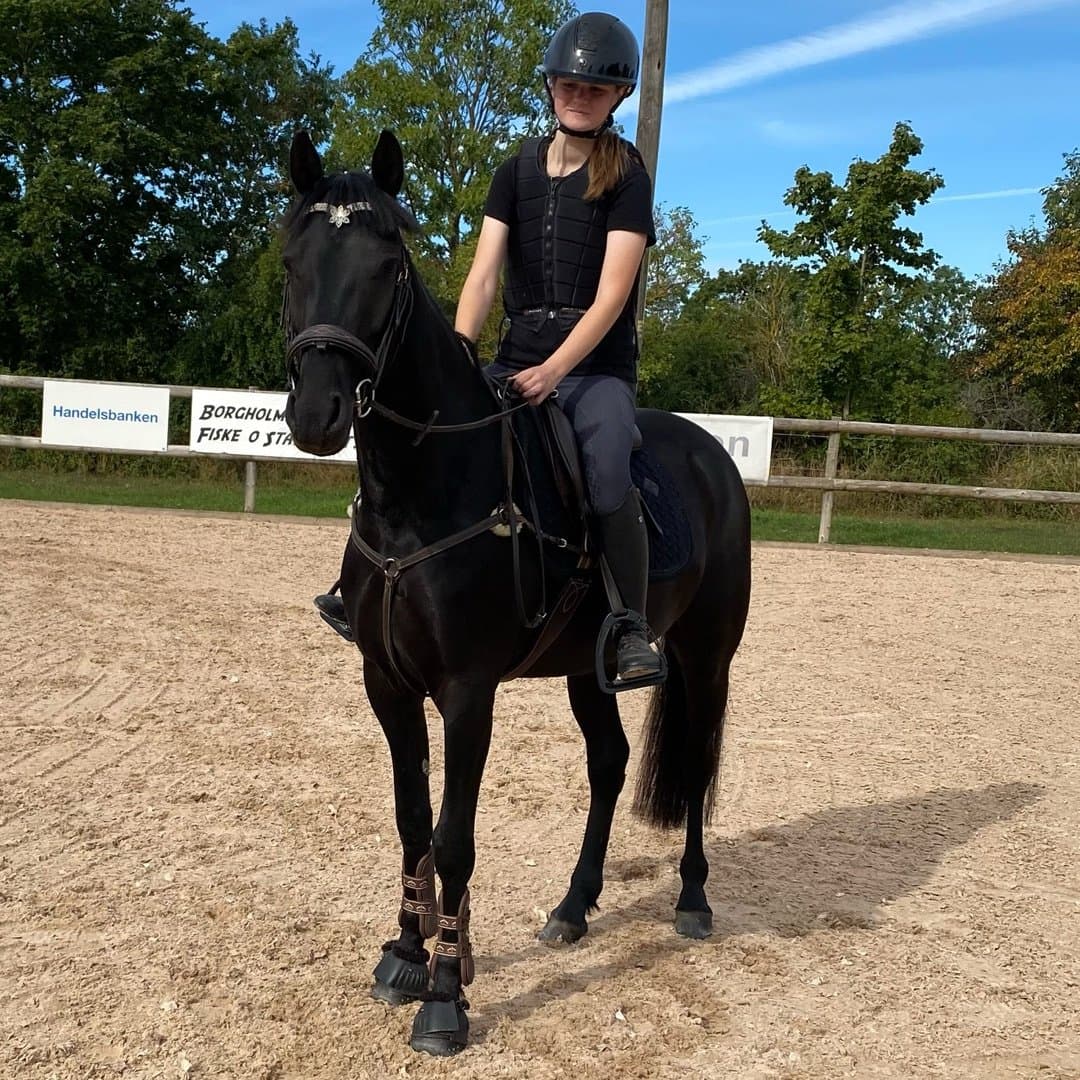 Bild 1 av Rosnakill Zorro