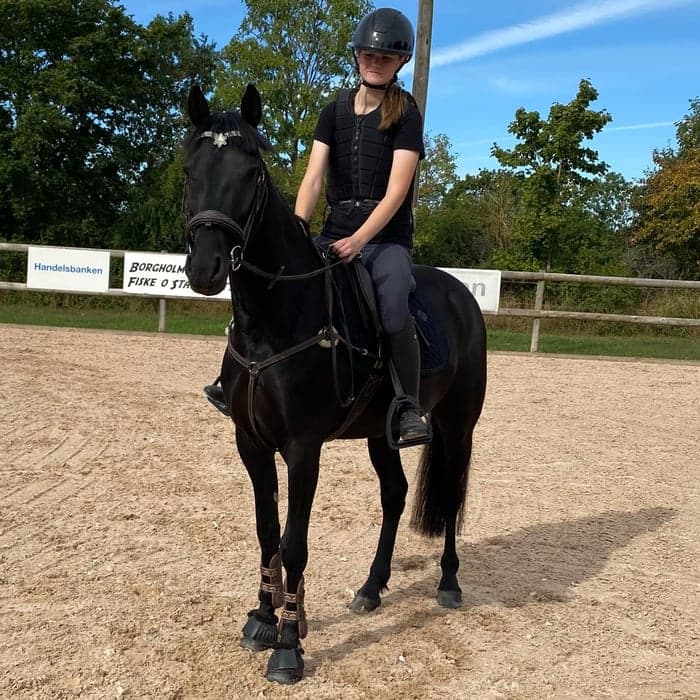 Media 1 av Rosnakill Zorro