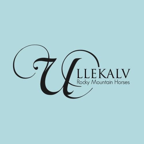 Profilbild av Ullekalv Rocky Mountain Horses