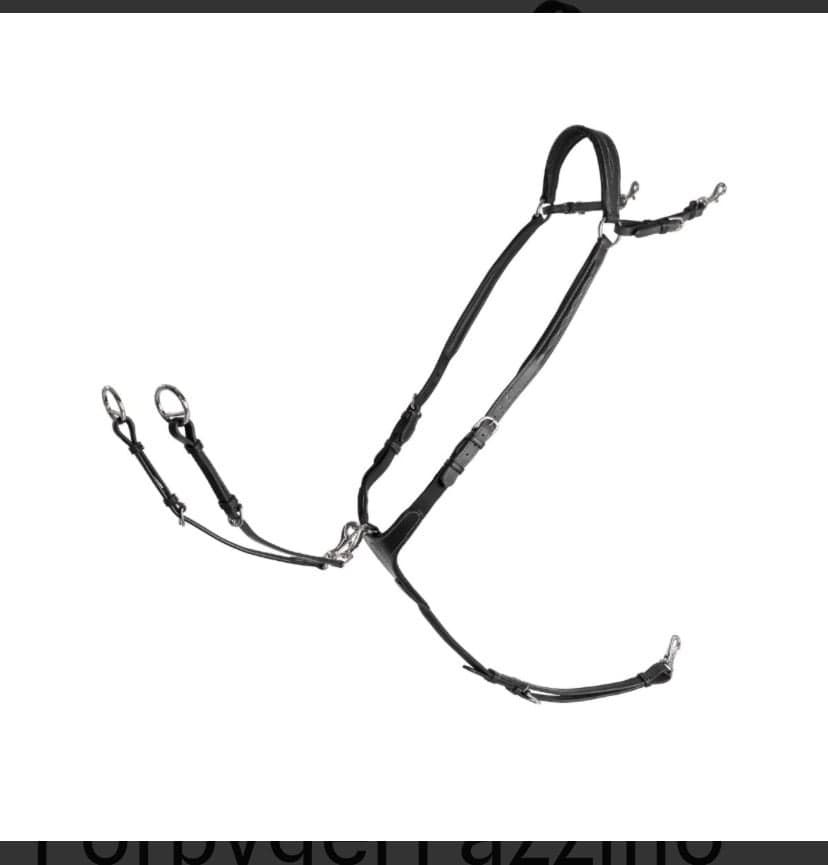 Bild 1 av Svart martingal+förbygel från Lippo