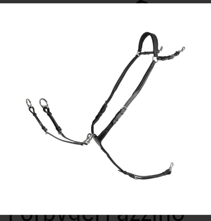 Media 1 av Svart martingal+förbygel från Lippo