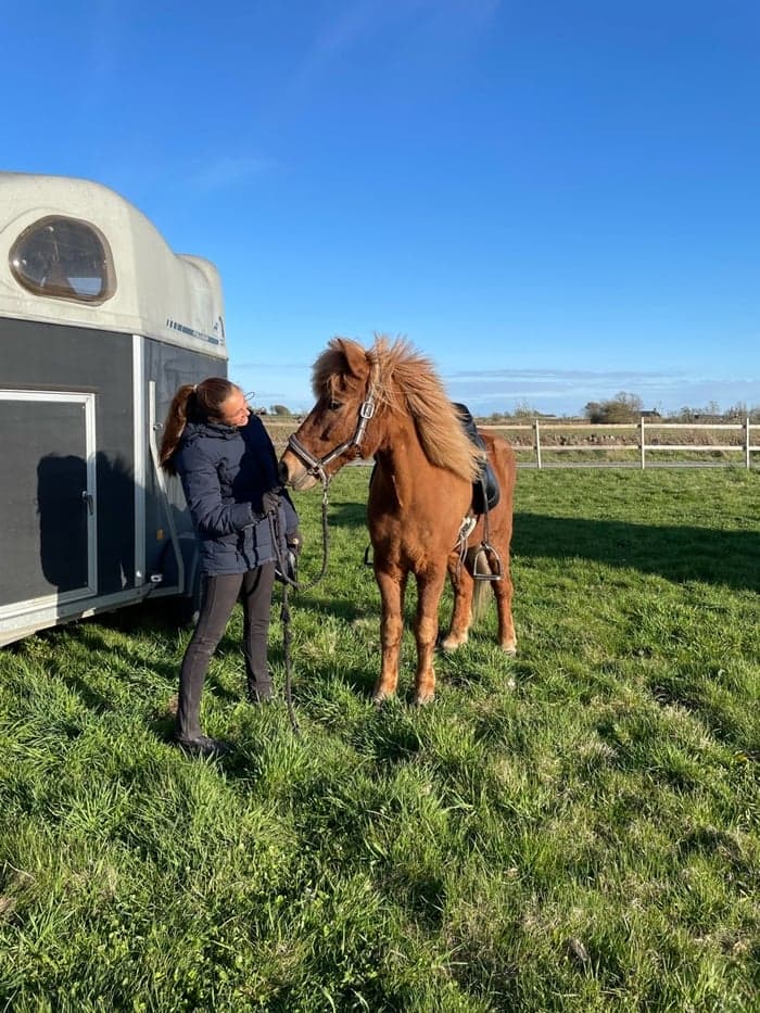 Media 1 av Börkur frá Strandarhjaleigu