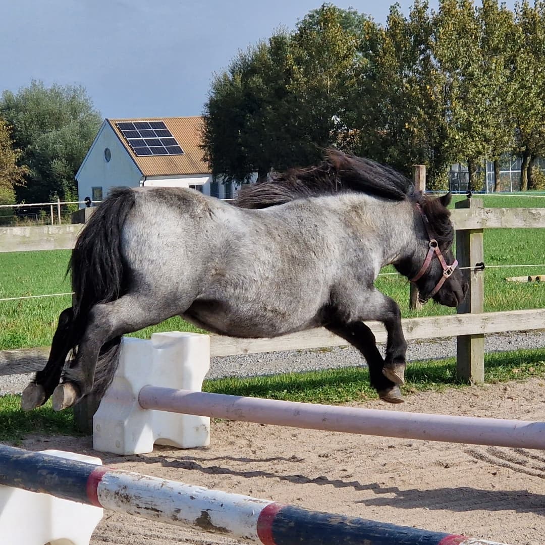 Bild 1 av placeholder text