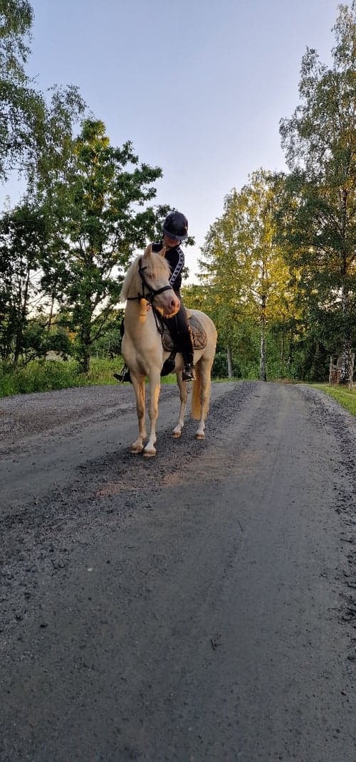 Bild av Framtidsponny med ovanligt färganlag