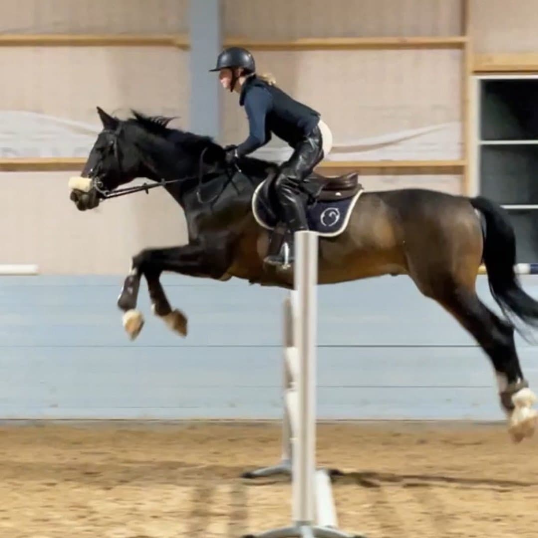 Image 1 of Hip Top N