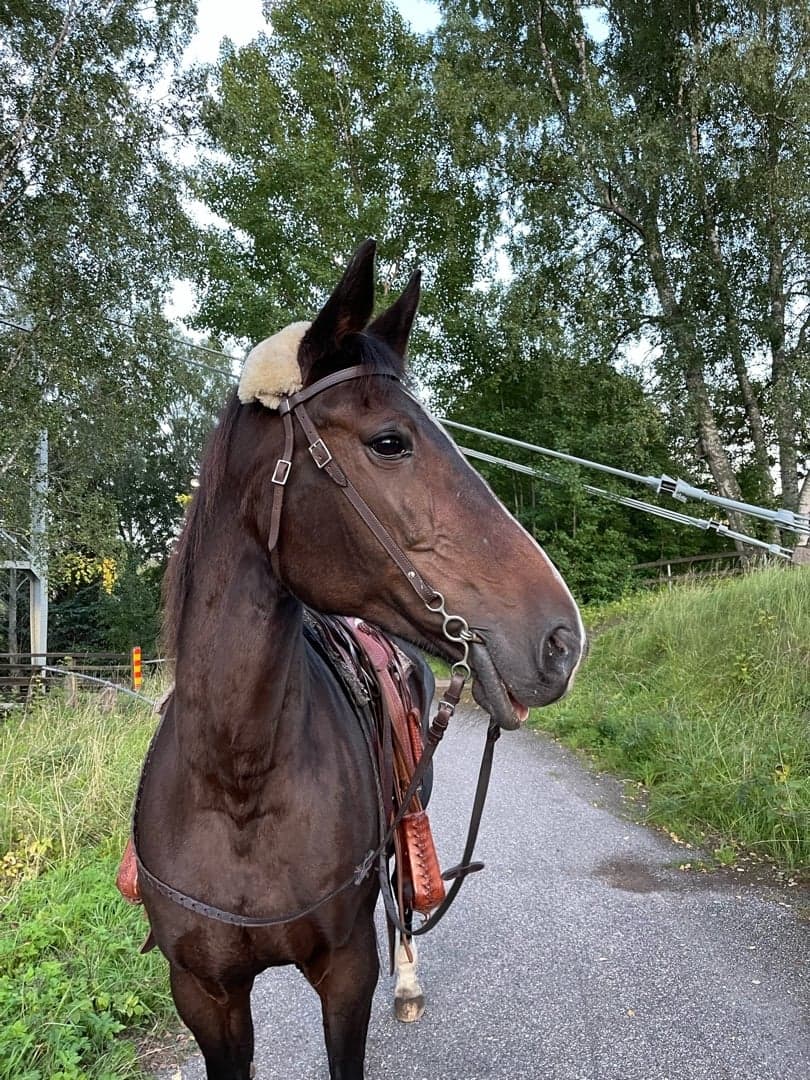 Bild 1 av Flydi.BS Freya