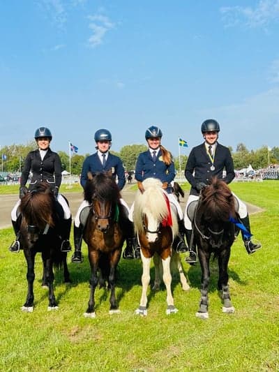 Inlägg 6 av Island med titeln GK-SM 