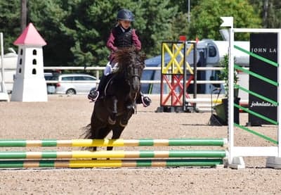 Inlägg 31 av Galopp med titeln Kittie i Västervik 