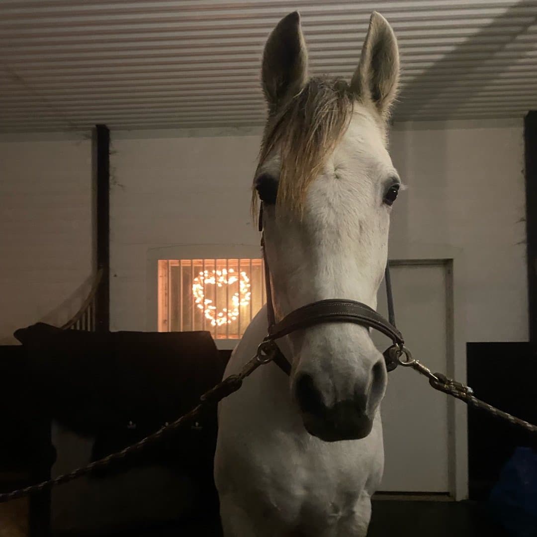 Bild 1 av SG Deseado