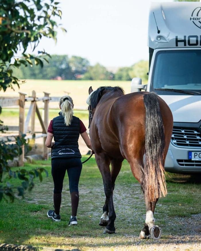 Media 3 av Lämna din häst eller ponny hos oss för inridning, utbildning + tävling