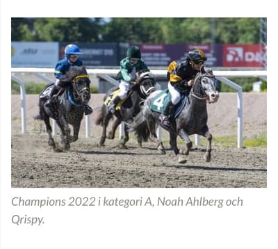 Inlägg 41 av Galopp med titeln Champion 2022