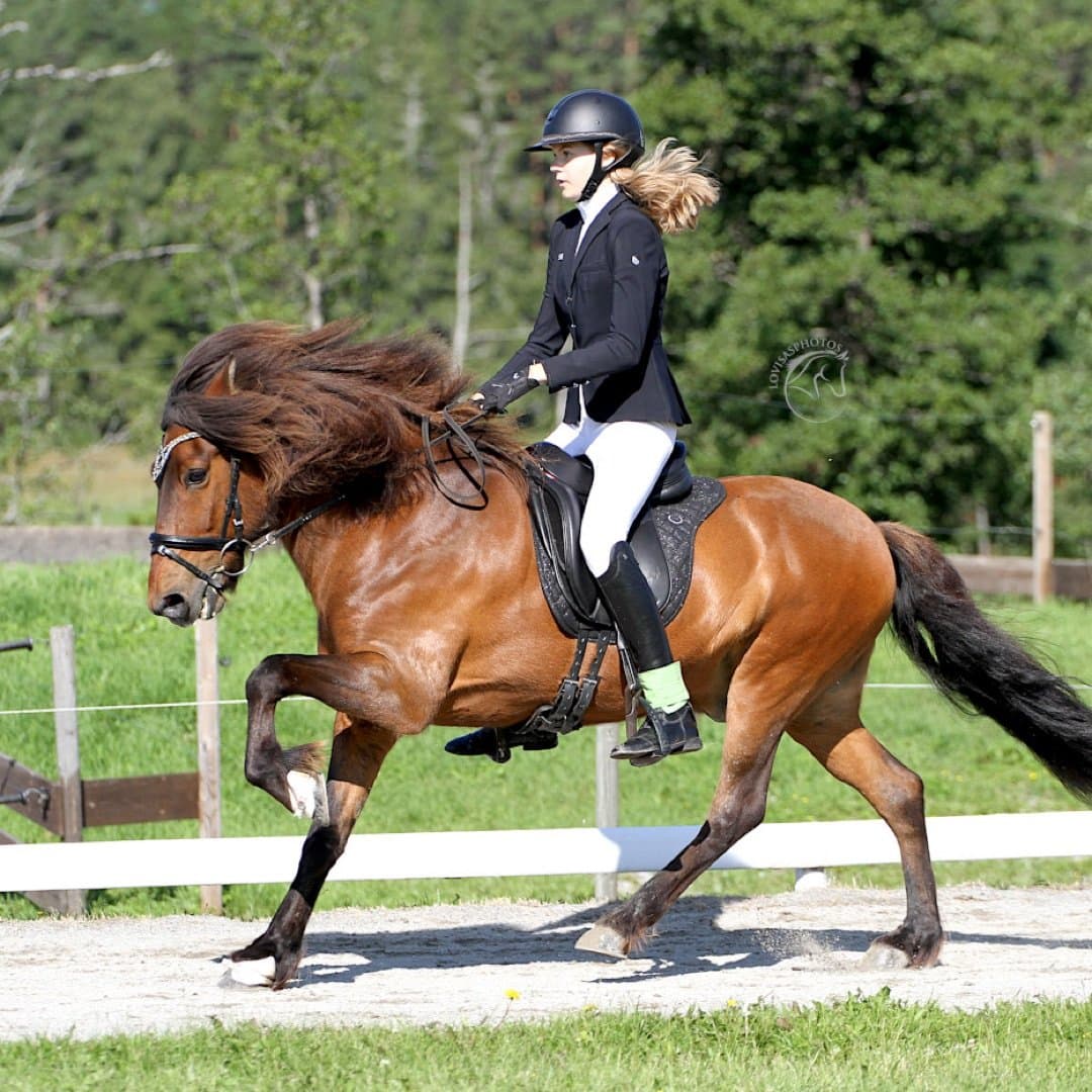 Bild 1 av Vinur frá Hjara