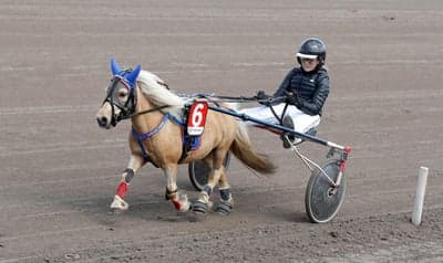 Inlägg 88 av Trav med titeln Ponnytrav 