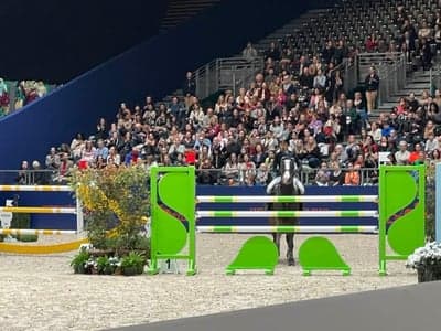 Inlägg 12 av Hoppning med titeln Fina Seed  ⭐️