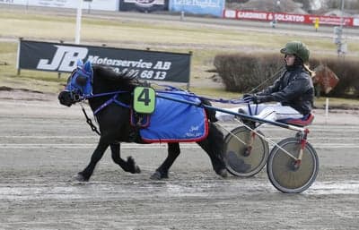 Inlägg 6 av Trav med titeln Ponnytrav 