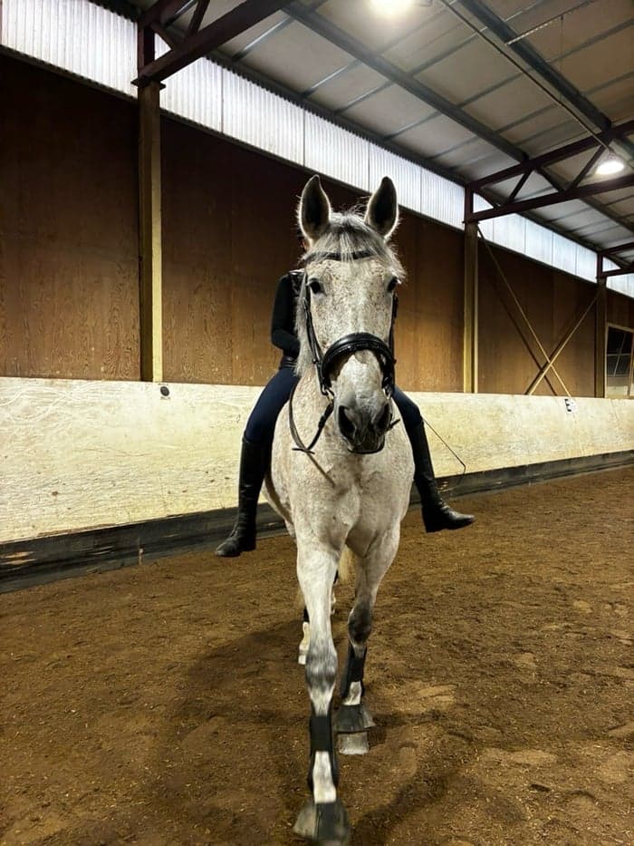 Media 4 av Mezcalero